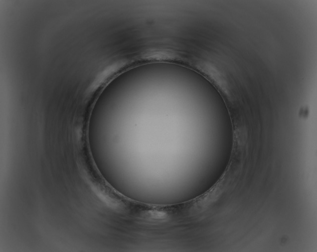 X0000093590159200710221530
