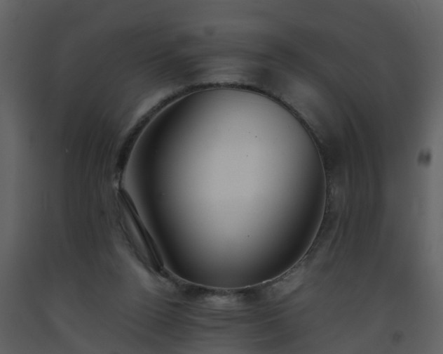X0000093590160200710221530