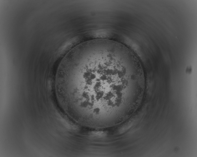 X0000093590161200710221530