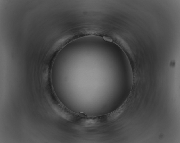 X0000093590163200710221530