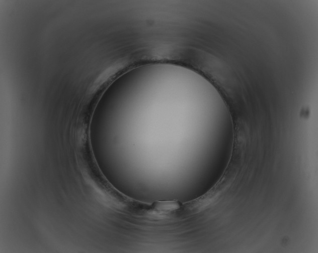 X0000093590164200710221530