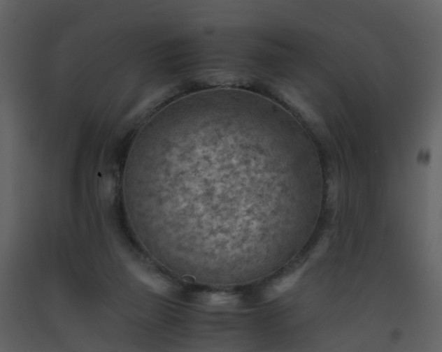X0000093590165200710221530