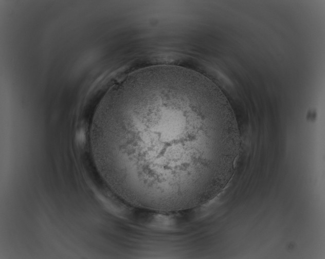 X0000093590166200710221530