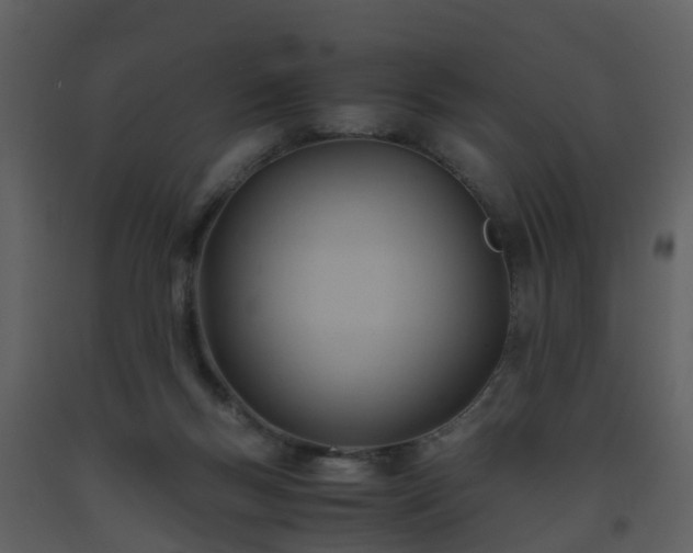 X0000093590167200710221530