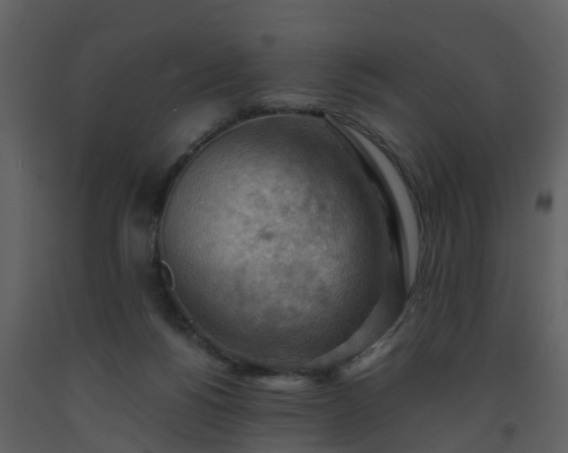 X0000093590168200710221530