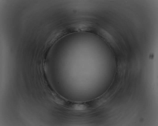 X0000093590169200710221530