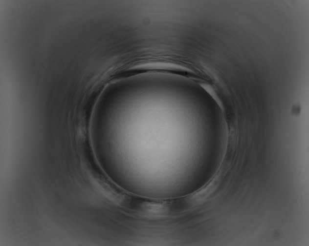 X0000093590170200710221530