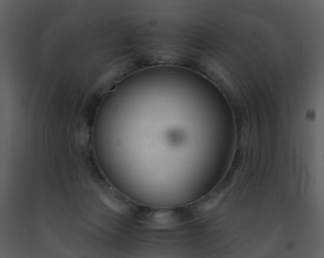 X0000093590173200710221530