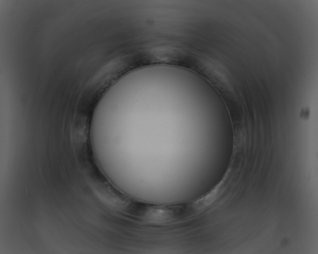 X0000093590174200710221530