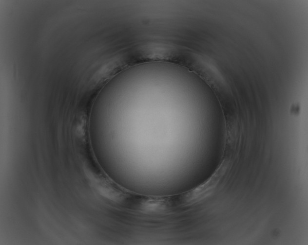 X0000093590175200710221530
