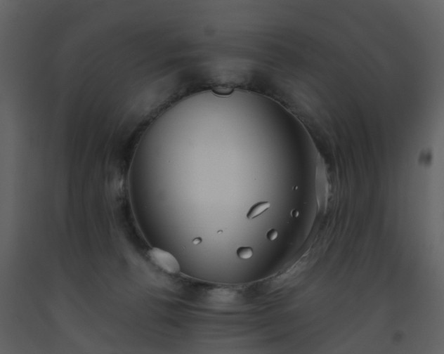 X0000093590176200710221530