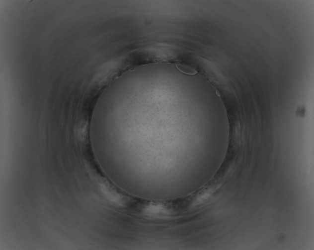 X0000093590177200710221530