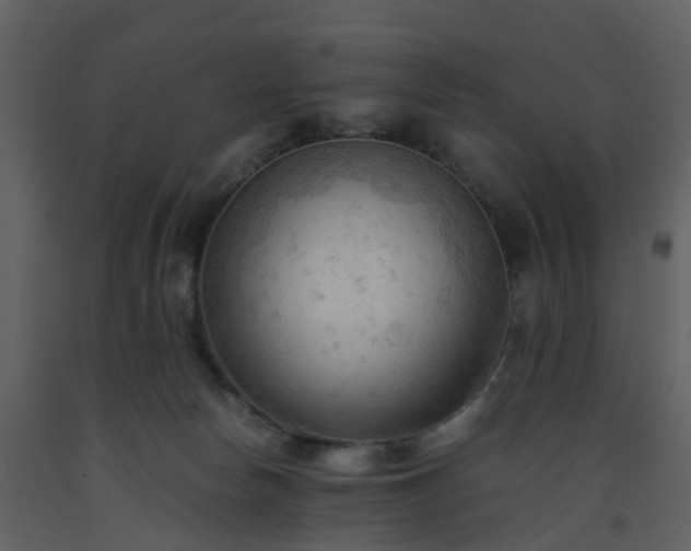 X0000093590178200710221530