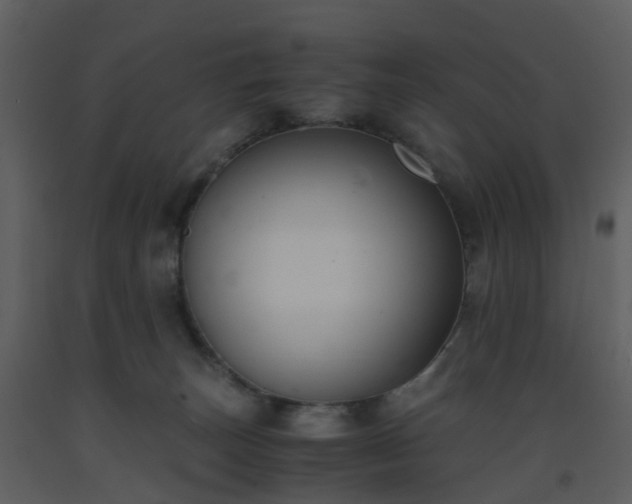 X0000093590179200710221530