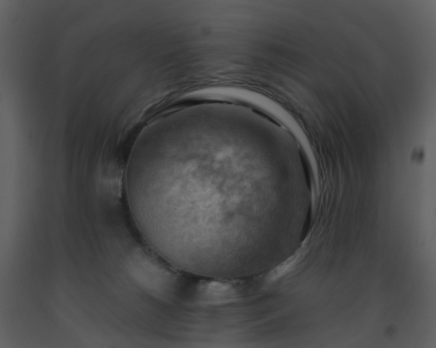 X0000093590180200710221530