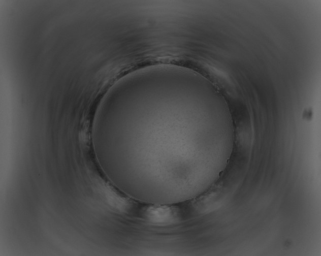 X0000093590181200710221531