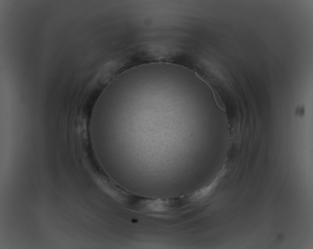 X0000093590182200710221531