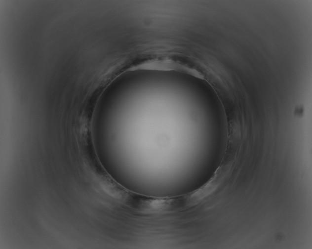 X0000093590184200710221531