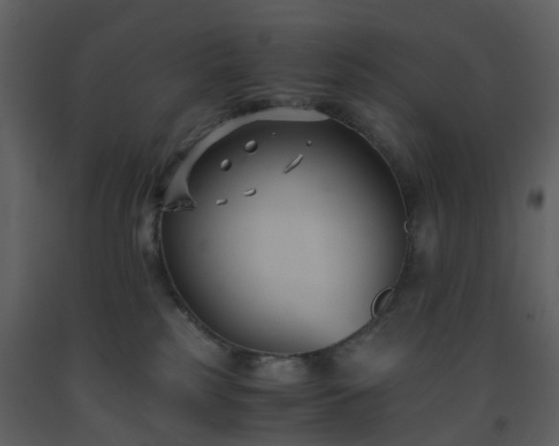 X0000093590185200710221531