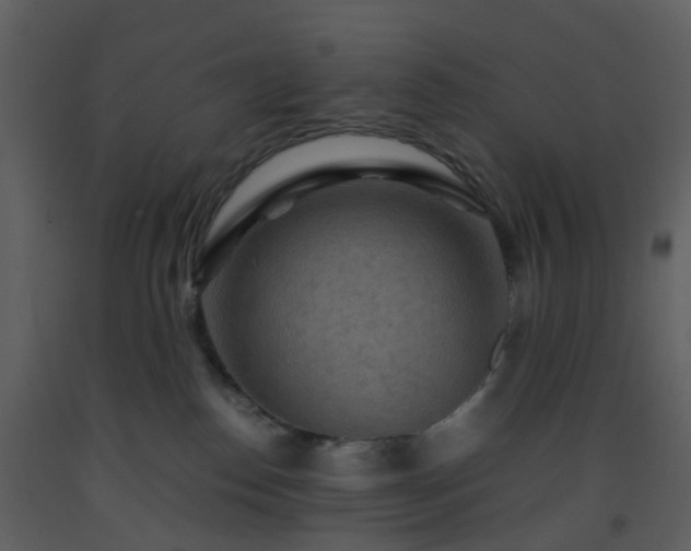 X0000093590186200710221531
