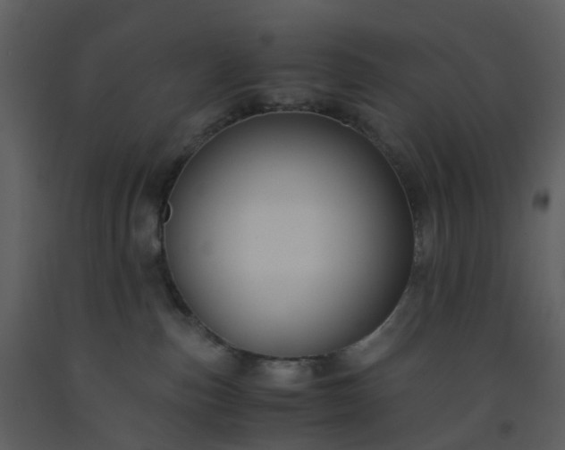 X0000093590187200710221531