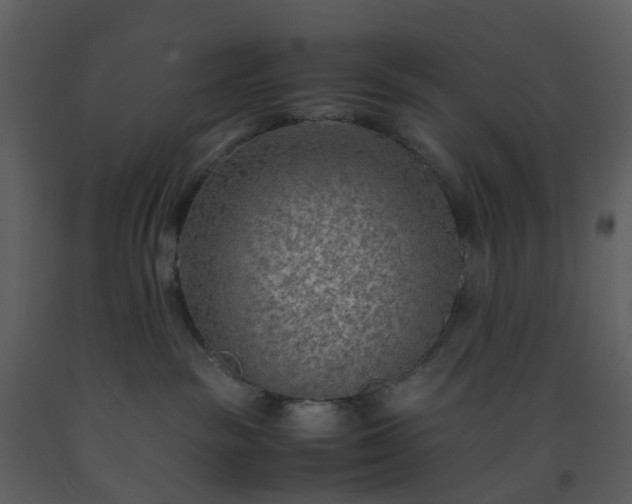 X0000093590189200710221531