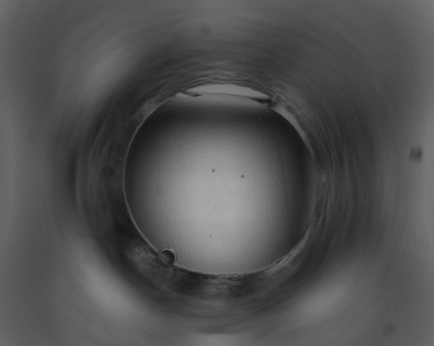 X0000093590190200710221531