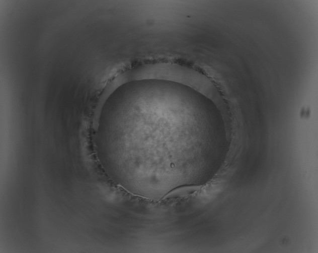 X0000093590192200710221531