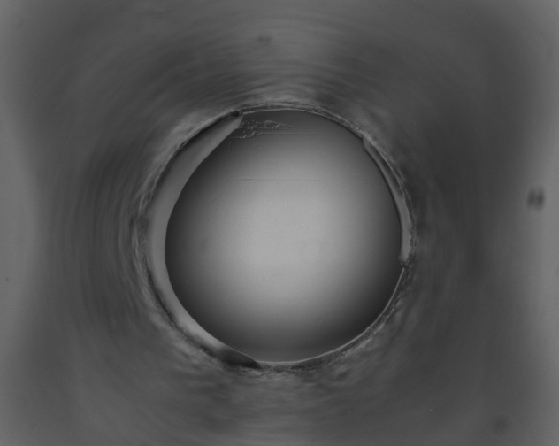 X0000093590193200710221530