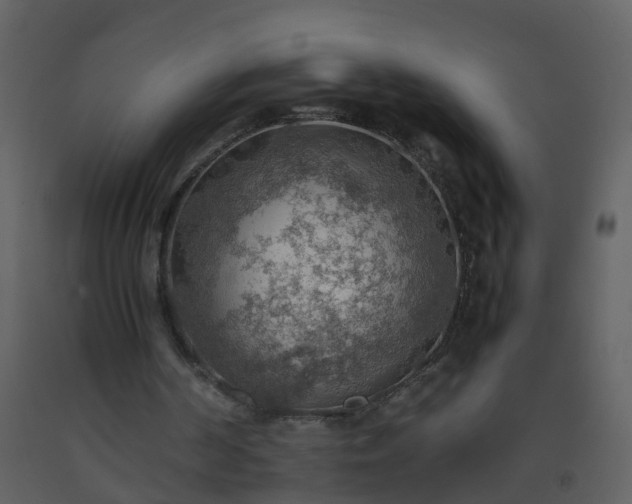 X0000093590194200710221530