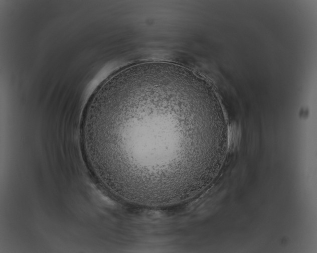 X0000093590195200710221530