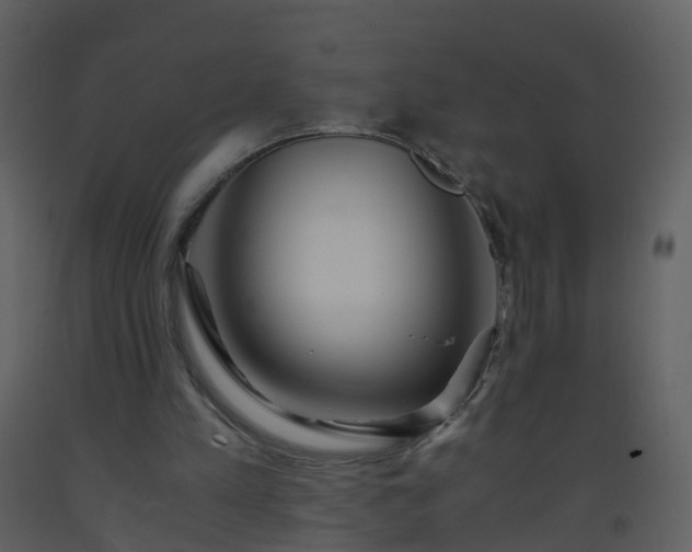 X0000093590197200710221530