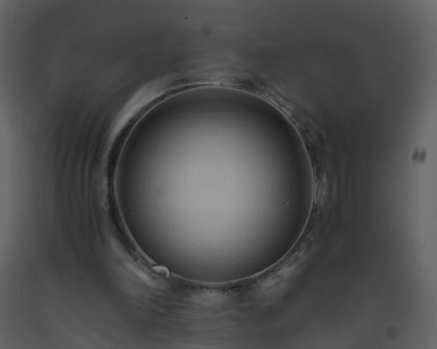 X0000093590198200710221530