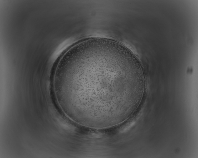 X0000093590199200710221530