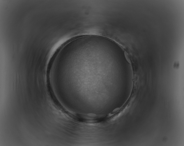 X0000093590200200710221530