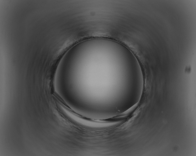 X0000093590201200710221530