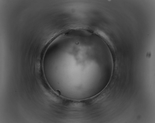 X0000093590202200710221530