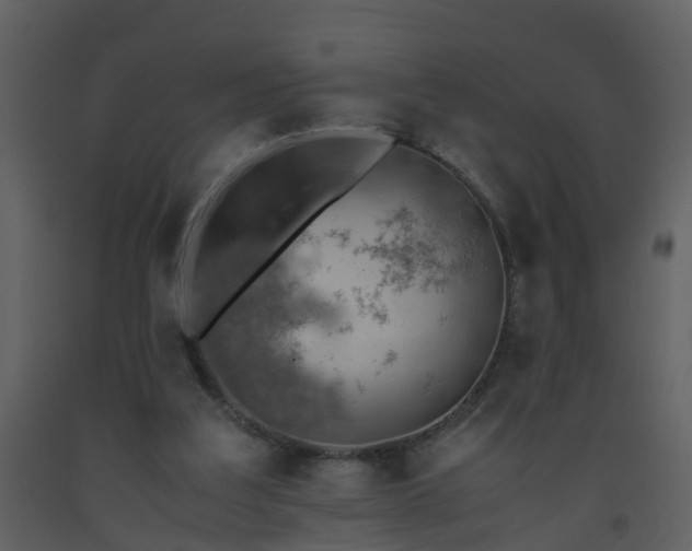 X0000093590203200710221530