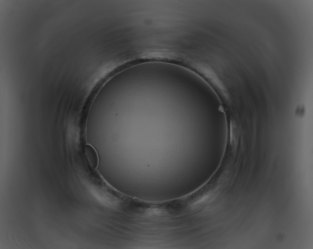 X0000093590204200710221530