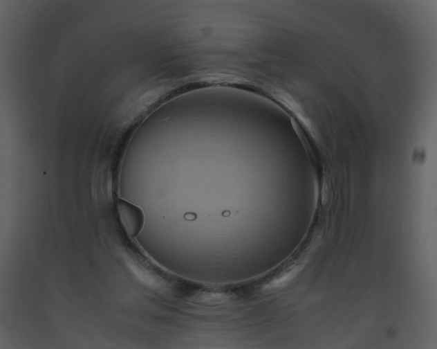 X0000093590205200710221530