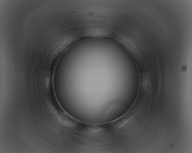 X0000093590206200710221530