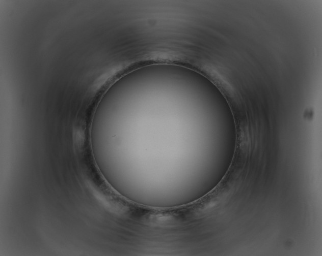 X0000093590208200710221530