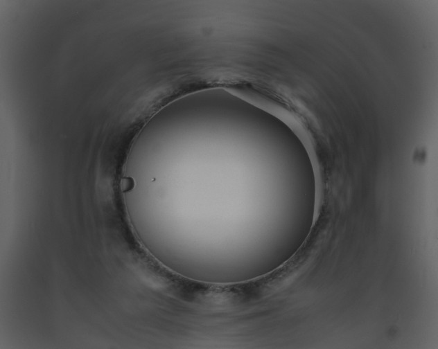 X0000093590209200710221530