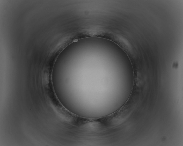 X0000093590210200710221530