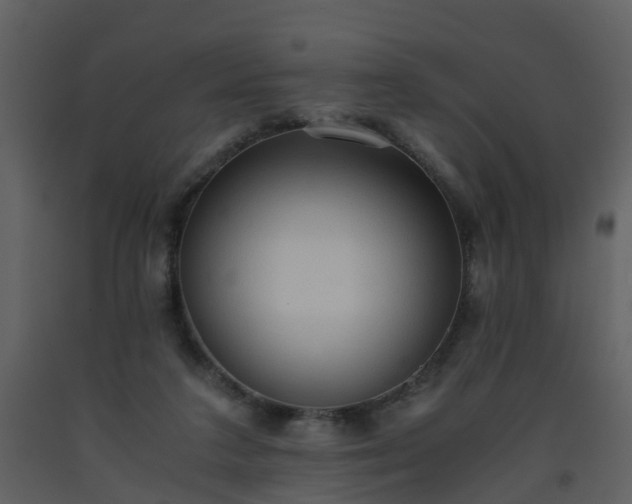 X0000093590211200710221530