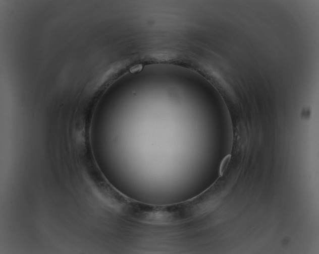 X0000093590212200710221530