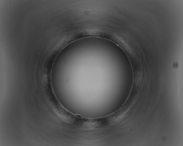 X0000093590213200710221530