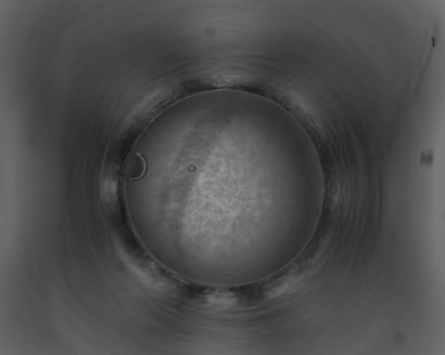 X0000093590214200710221530
