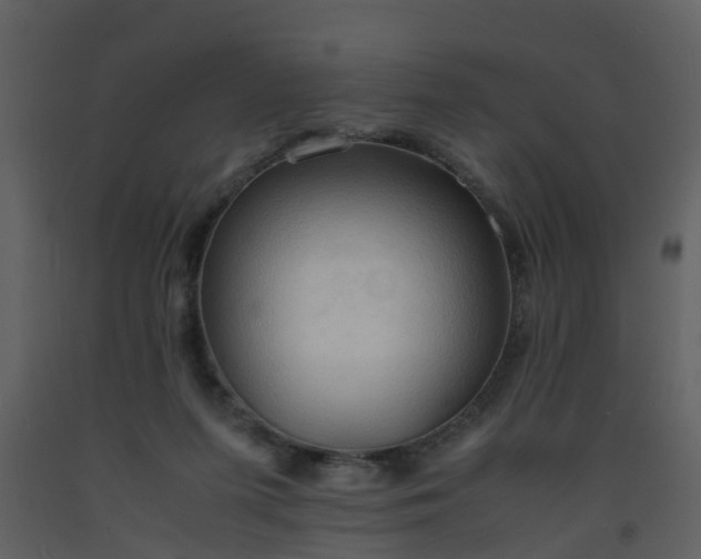 X0000093590215200710221530