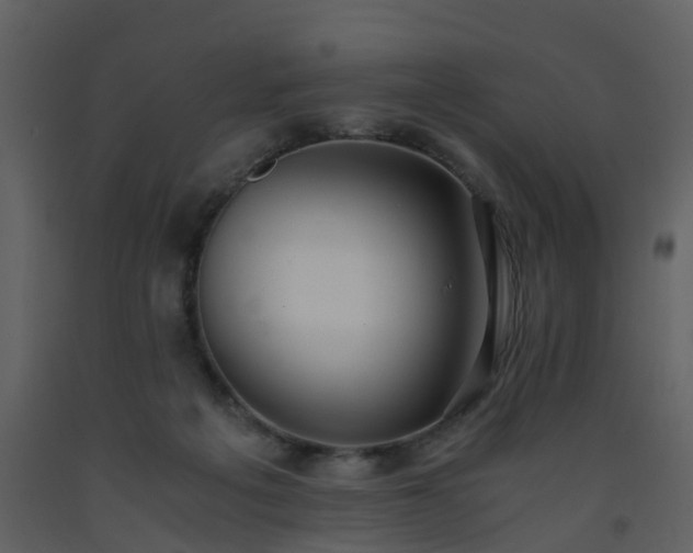 X0000093590217200710221530
